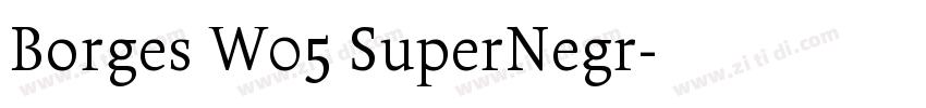 Borges W05 SuperNegr字体转换 Borges W05 SuperNegr字体转换